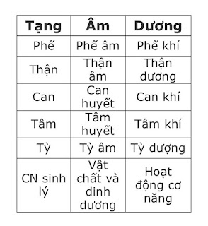 Không phải ai cũng hiểu đúng và vận dụng được thuyết âm dương để chăm sóc sức khỏe cho chính mình...